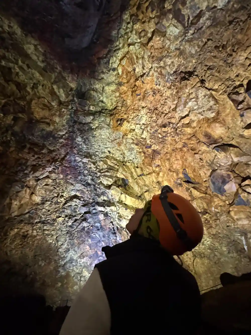 A helmeted head against the gold and violet chamber wall